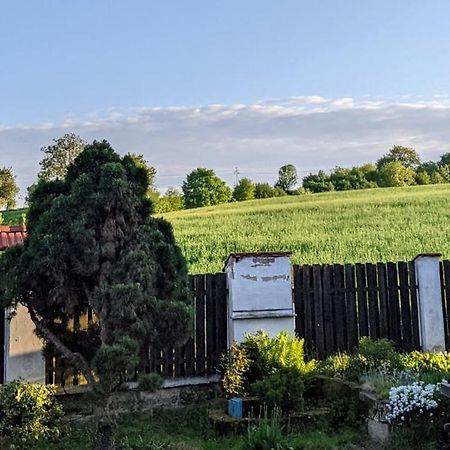 Chalupa U Rybnika Strehom Dolní Bousov Dış mekan fotoğraf