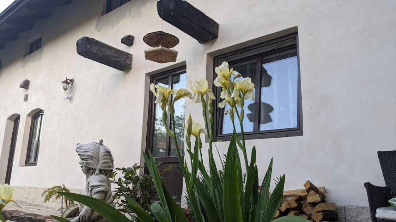 Chalupa U Rybnika Strehom Dolní Bousov Dış mekan fotoğraf